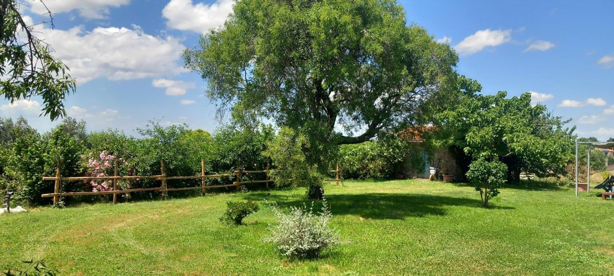 Villa Casolare di campagna Viterbo Esterno foto